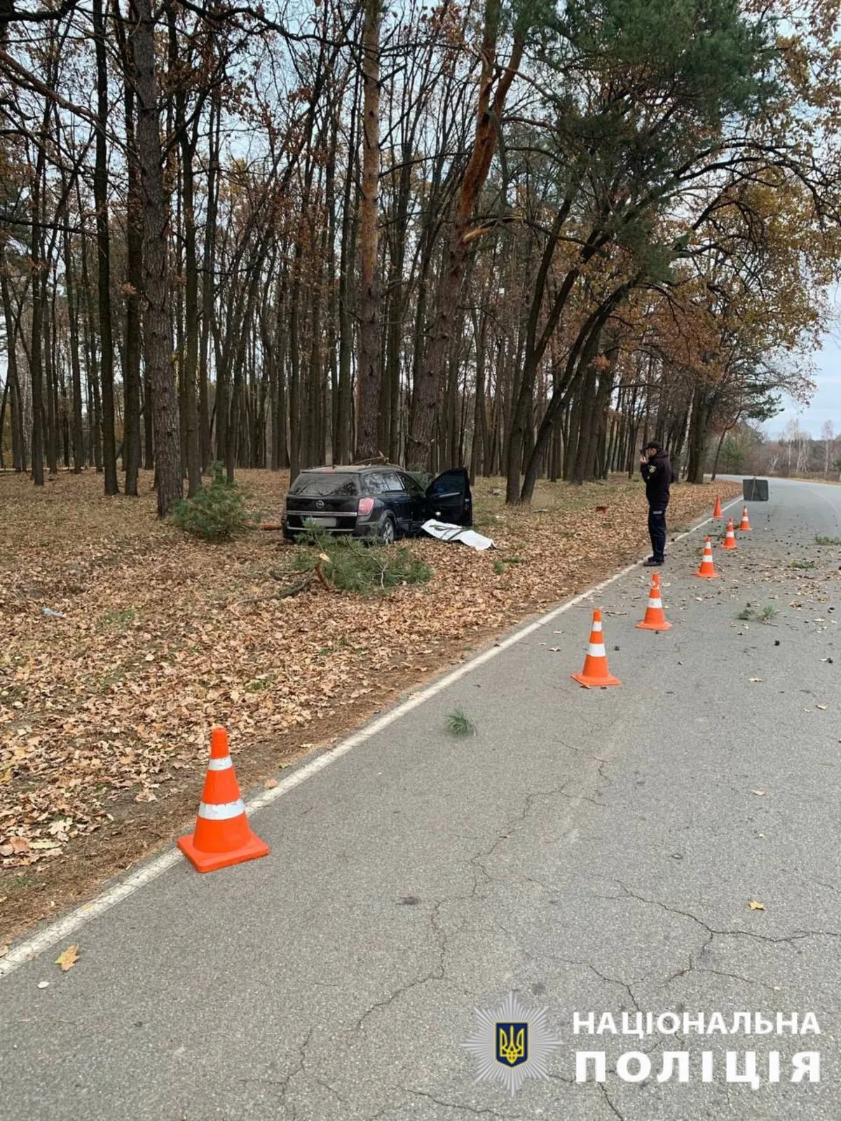 На Київщині легковик на швидкості в’їхав у дерево: є загиблий та постраждалий. Подробиці та фото