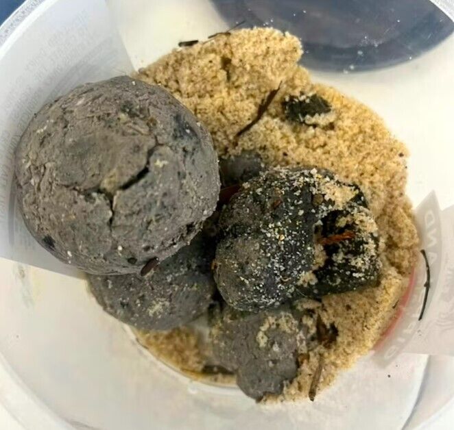 Хіміки з'ясували, що за смердючі кульки викинуло на пляжі в Австралії: краще до них не торкатися