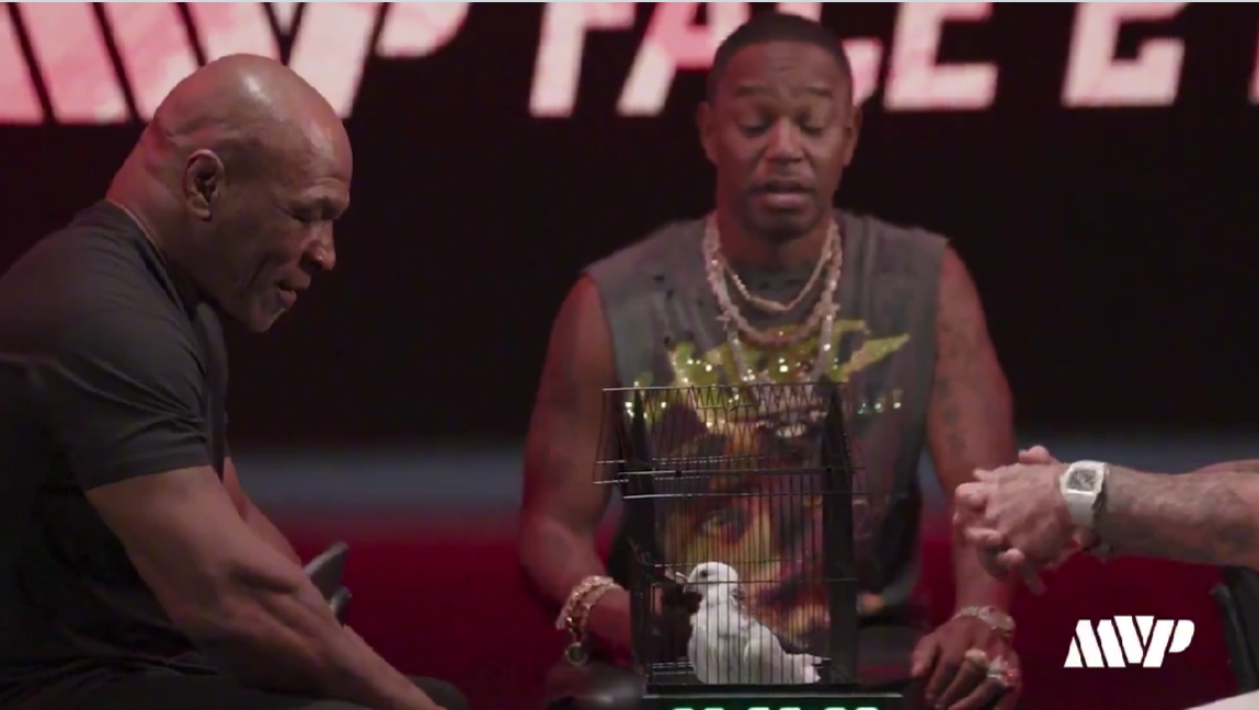 Легенда против блогера. Майк Тайсон – Джейк Пол: все, что нужно знать о бое, какие правила, гонорары 