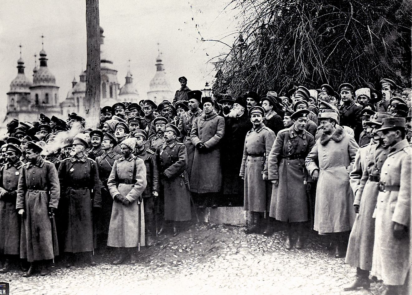 У мережі показали мітинг у Києві в 1917 році: на фото Петлюра і Грушевський