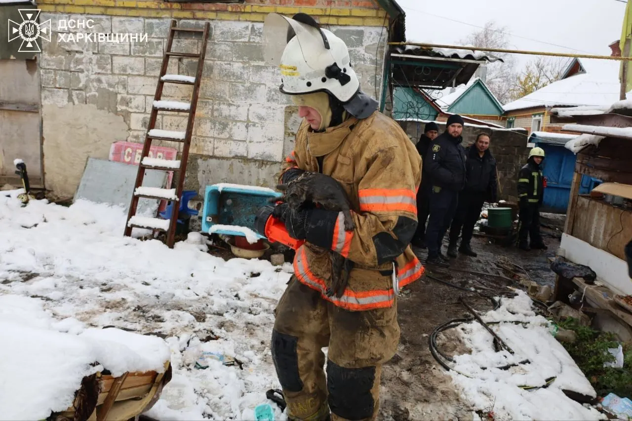 На Харківщині в пожежі загинули чоловік і четверо дітей: з'явилися деталі трагедії. Фото 