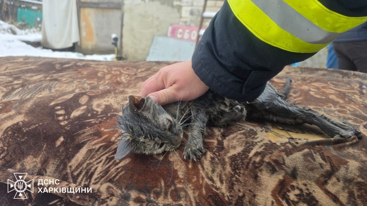 На Харківщині в пожежі загинули чоловік і четверо дітей: з'явилися деталі трагедії. Фото 