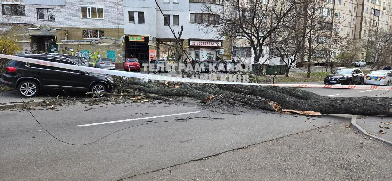 В Киеве на Лукьяновке дерево упало на женщину, она погибла на месте