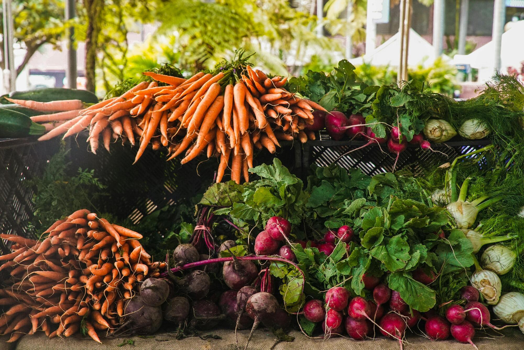 Топ-5 продуктов, которые наши предки заготавливали на зиму