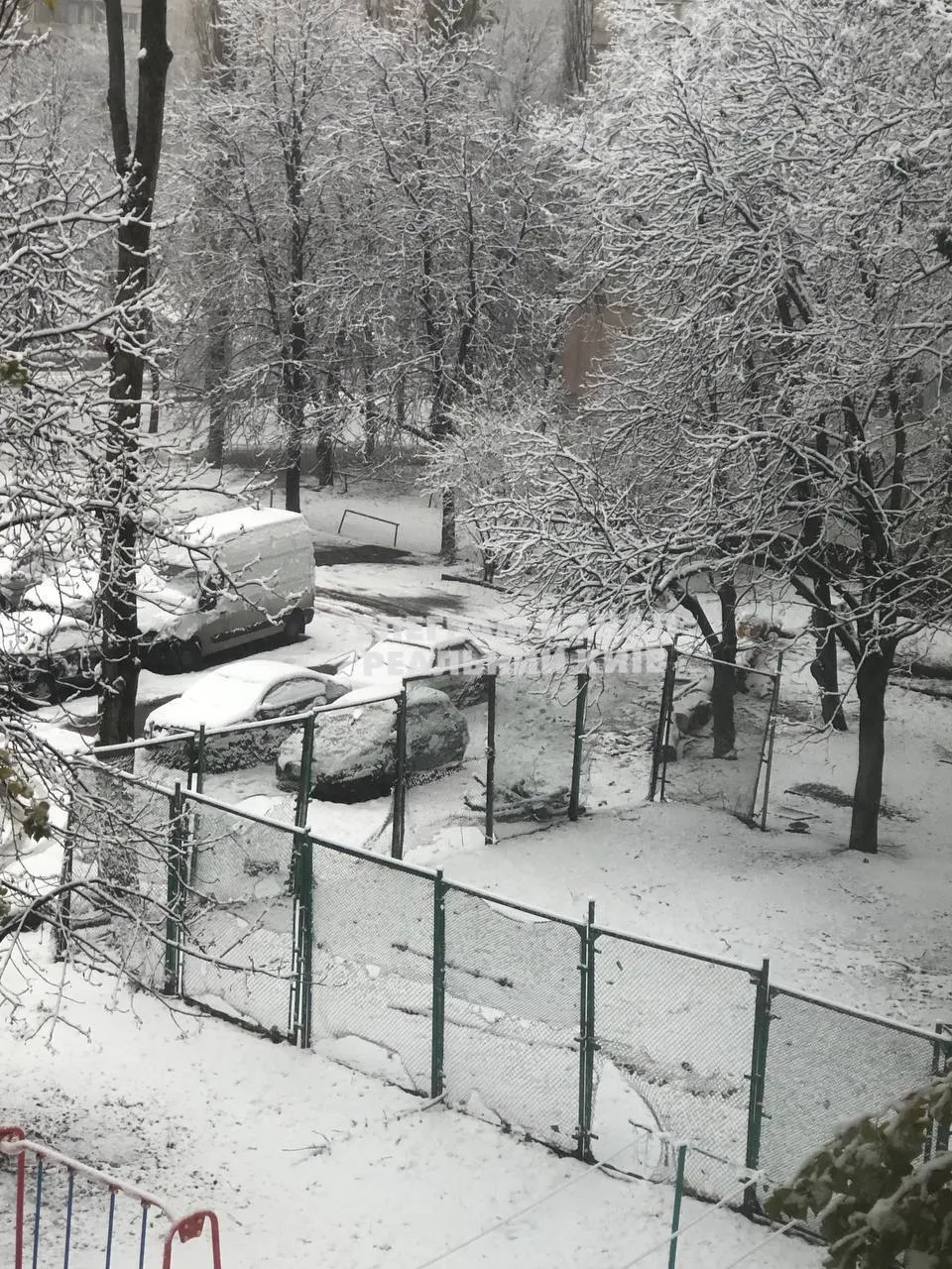 Київ присипало снігом, на дорогах можлива ожеледиця: водіїв попередили про небезпеку. Фото і відео