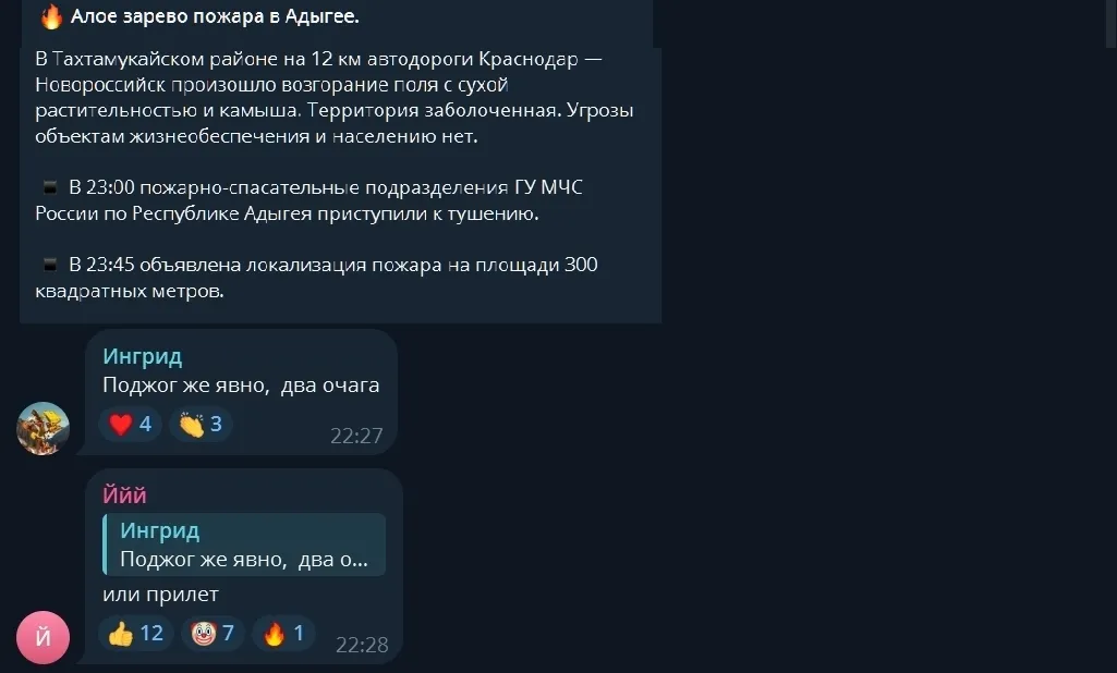 У Краснодарському краї РФ вирує масштабна пожежа: влада регіону виправдалась, що "палає очерет". Фото і відео
