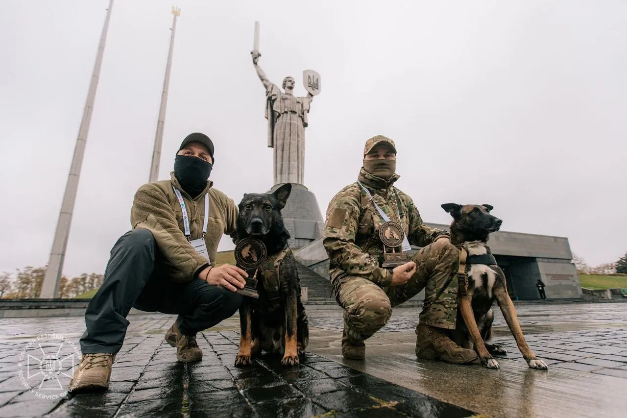 У Києві нагородили чотирилапих захисників Рема і Фінча, які допомагають протистояти ворогу  