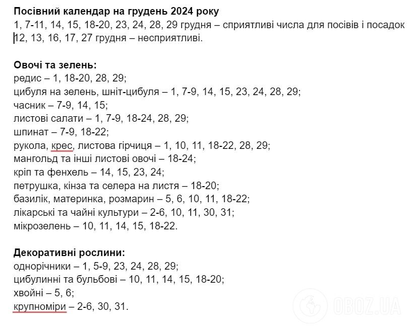 Посівний календар на грудень: що можна посадити на городі й коли