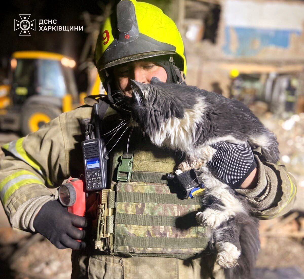 В Харькове бойцы ГСЧС при разборе завалов спасли пушистика. Фото