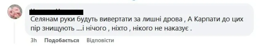 Украинцев волнует судьба Карпат