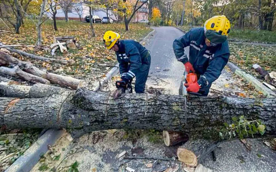 У КМДА розповіли, про наслідки сильного вітру та негоди в Києві. Подробиці і фото