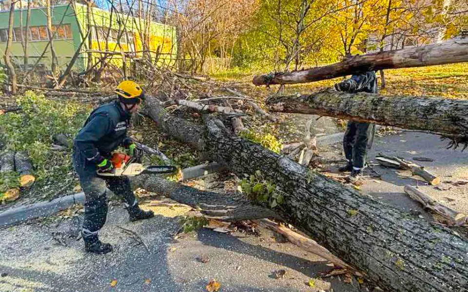 У КМДА розповіли, про наслідки сильного вітру та негоди в Києві. Подробиці і фото