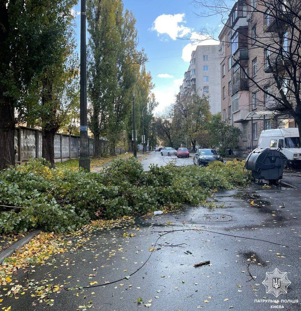 В Україні вирує сильний вітер: у низці міст впали дерева, у Дніпрі знесло зупинку, є постраждалі. Фото і відео