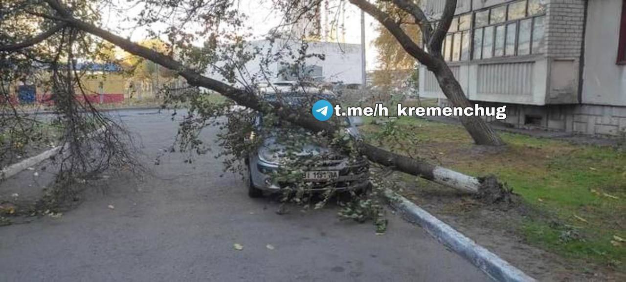 В Україні вирує сильний вітер: у низці міст впали дерева, у Дніпрі знесло зупинку, є постраждалі. Фото і відео