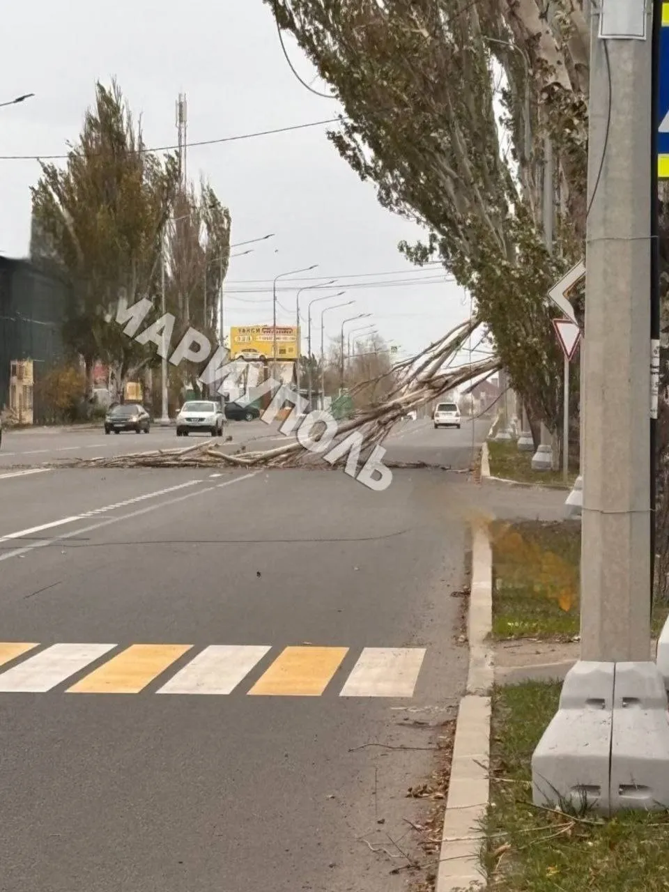 В Україні вирує сильний вітер: у низці міст впали дерева, у Дніпрі знесло зупинку, є постраждалі. Фото і відео