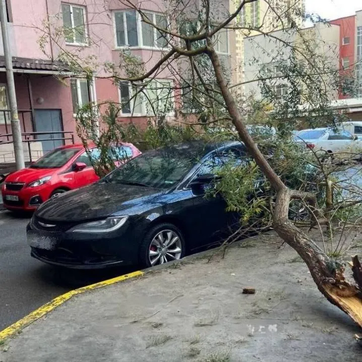 У Києві сильні пориви вітру ламали дерева та зривали дахи на будинках. Фото та відео