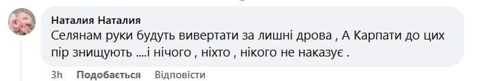 Українка нагадала про вирубку Карпатських лісів