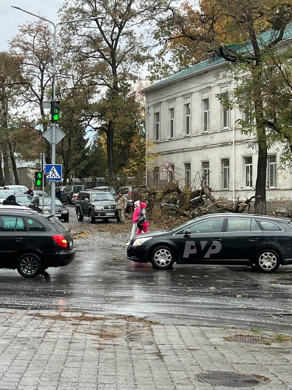 В Україні вирує сильний вітер: у низці міст впали дерева, у Дніпрі знесло зупинку, є постраждалі. Фото і відео