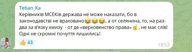 Коментар користувачка Tetian_Ka в Telegram.