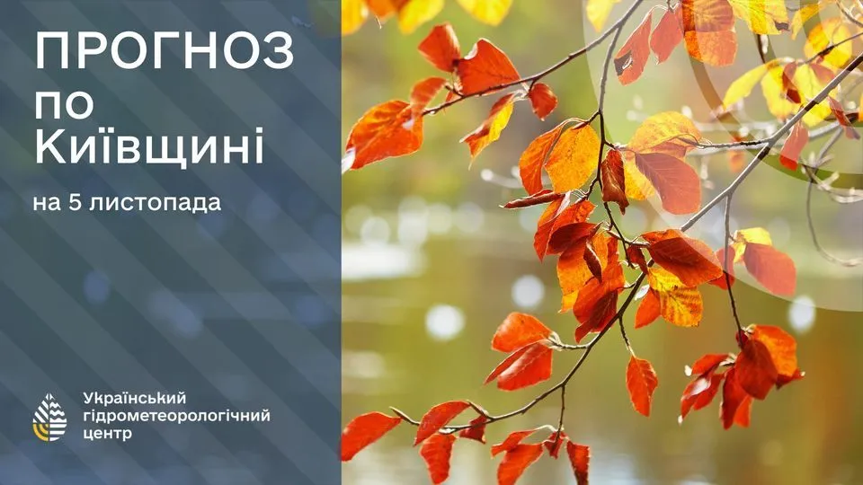 Місцями нічні заморозки й невеликий мокрий сніг: синоптики уточнили прогноз погоди на вівторок, 5 листопада