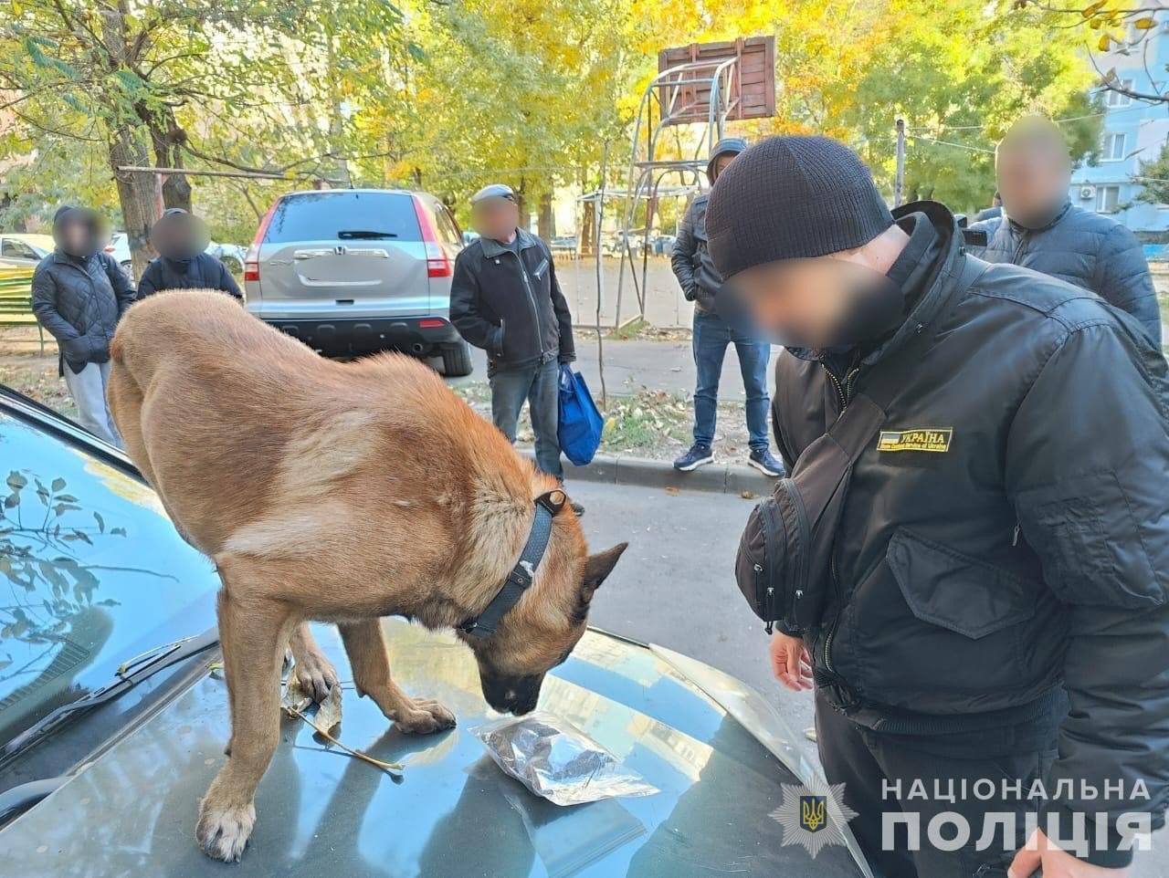 Вилучено наркотиків на 20 млн грн: Нацполіція та СБУ ліквідували діяльність злочинної організації контрабандистів. Фото і відео