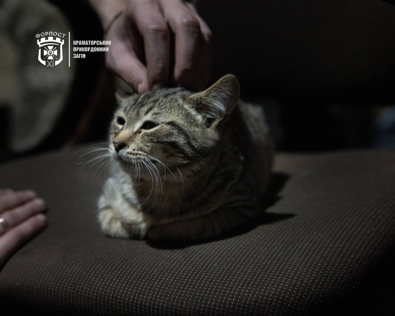 Пограничники показали свой талисман: кота Марвела нашли после штурма. Фото