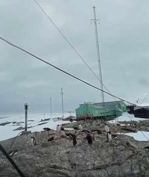 Полярники "Вернадского" показали самый длинный день года за 1 минуту. Видео