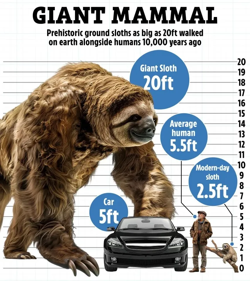 Гигантские ленивцы с когтями, раздирающие плоть. Ученые рассказали интересные факты о соседях людей, с которыми те прожили около 10 тысяч лет