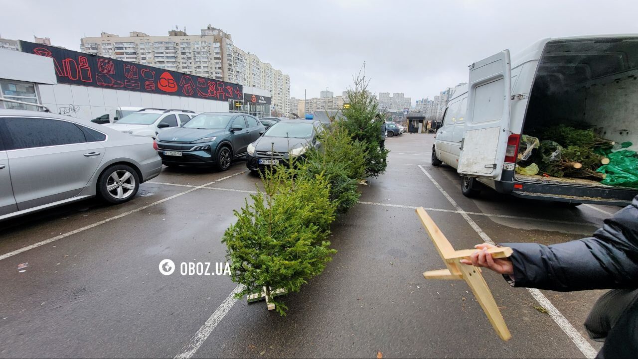 Подставки для деревьев продают отдельно: стали известны цены на елочных базарах Киева. Фото