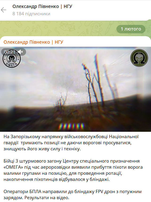 Ротация у оккупантов не удалась: нацгвардейцы атаковали вражеский блиндаж с помощью FPV-дрона. Видео