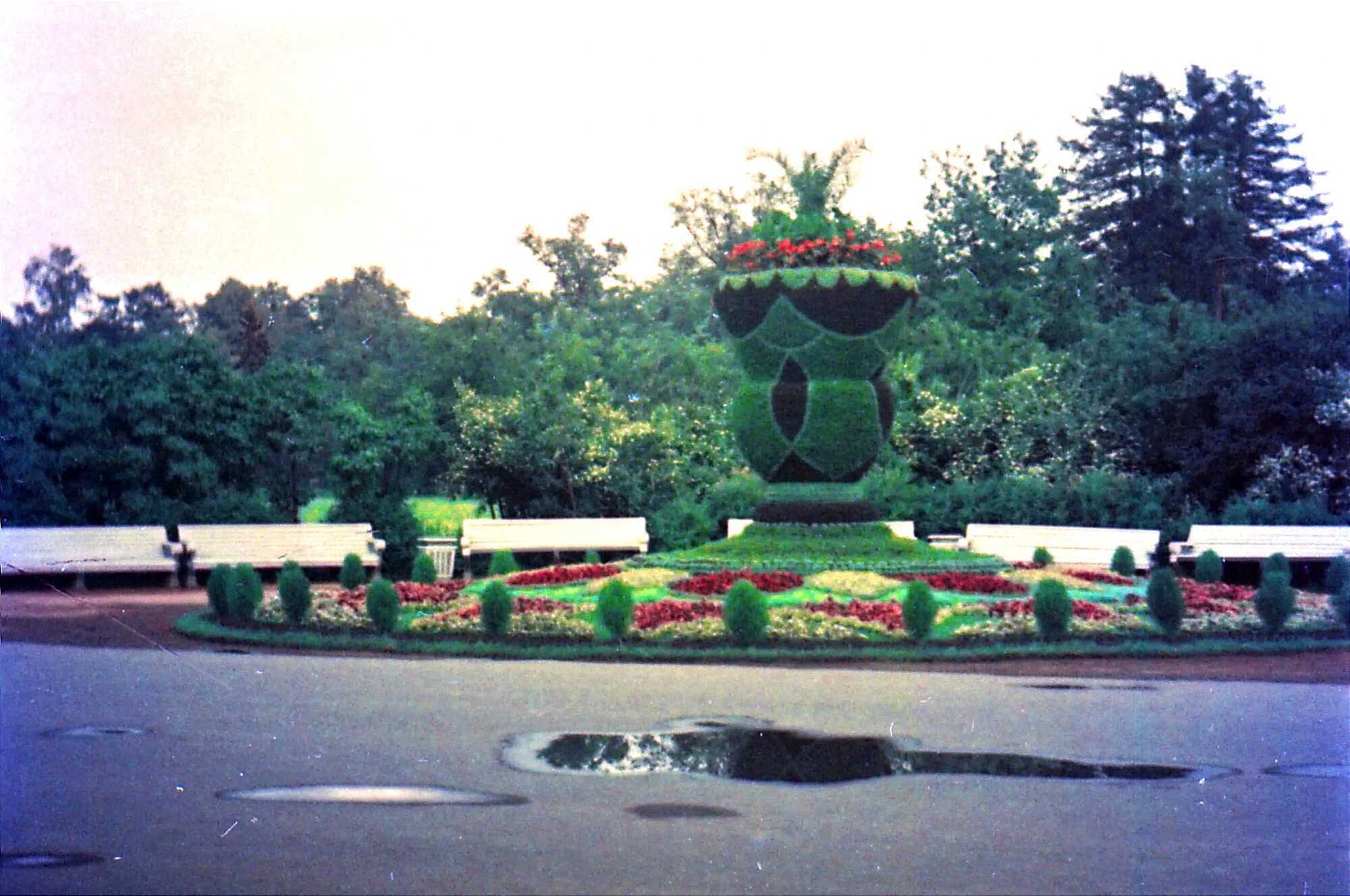 Много деревьев и цветов: в сети показали, как озеленяли Киев в 1956 году. Архивные фото