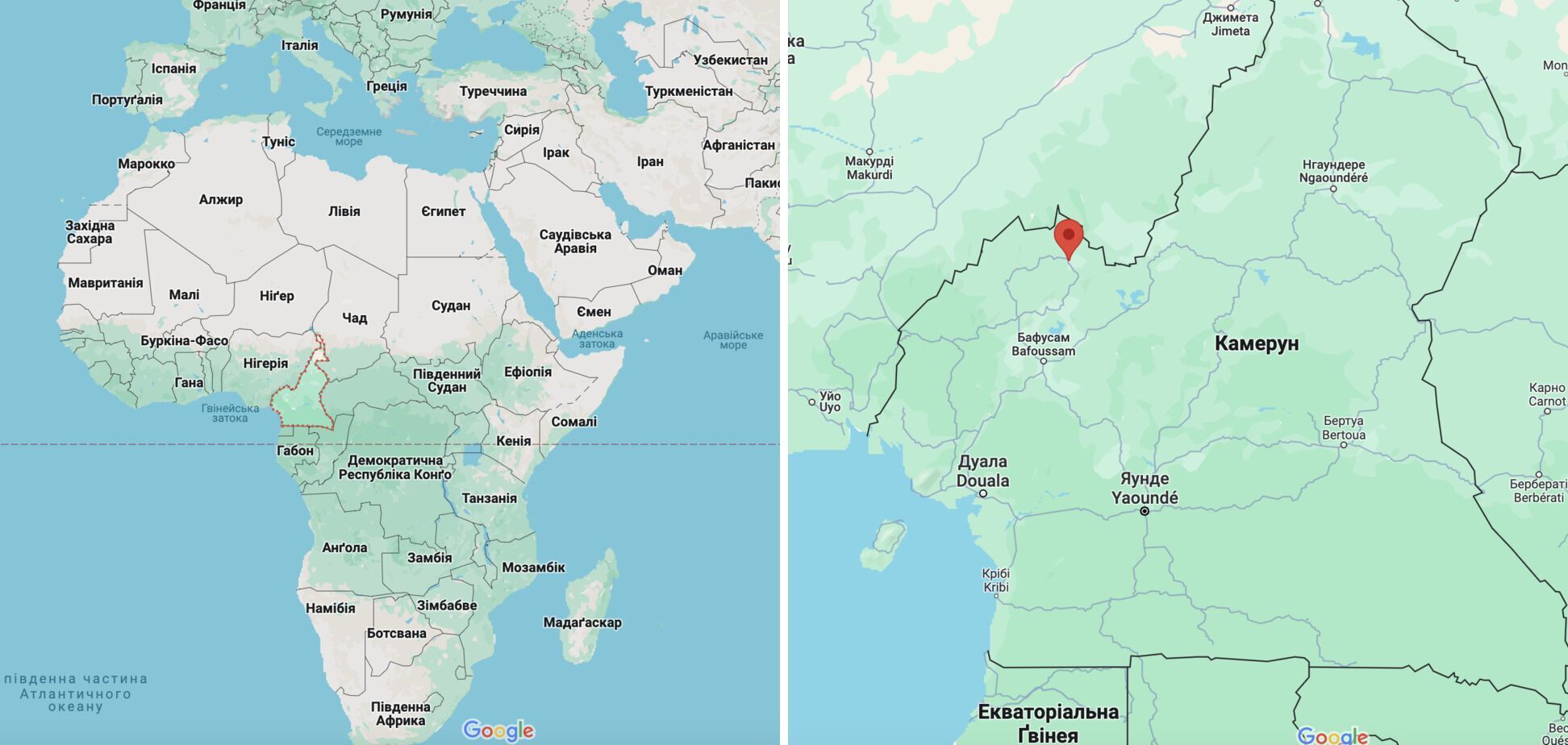В Камеруне произошел теракт: двое школьников погибли, еще 20 получили ранения