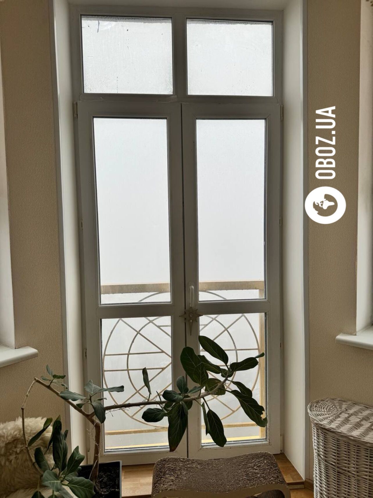 Видимість місцями менше 100 метрів: Київ накрив густий туман. Фото і відео