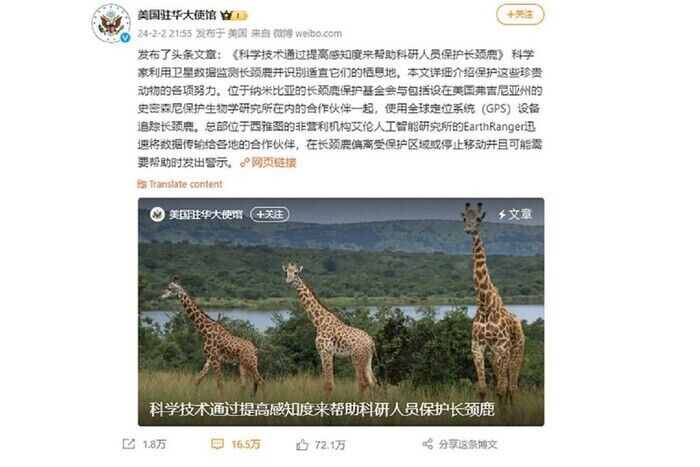 Почему в Китае запрещают жирафов?
