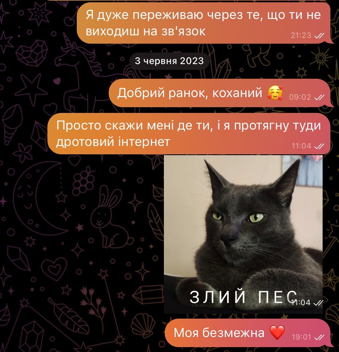 "Нам сказали, что ты умер. Это ведь неправда?!" Украинки показали сообщения, которые писали погибшим любимым, родителям и сыновьям