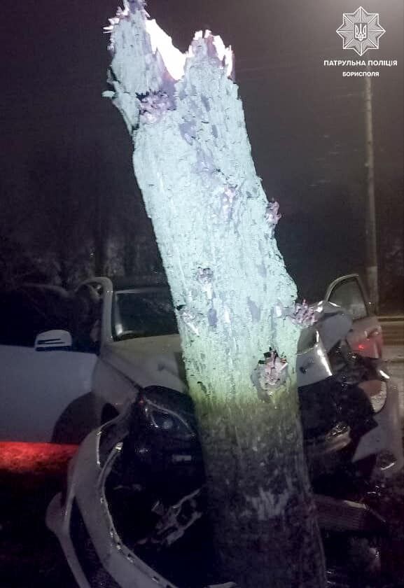 Водій заснув за кермом: під Києвом Mercedes на швидкості протаранив дерево. Фото