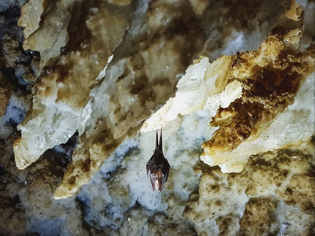 Самые удивительные пещеры Украины: о них вы точно не знали
