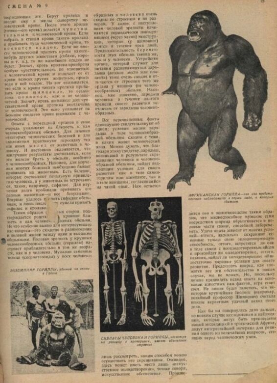 98 років тому радянський вчений спробував схрестити людину і мавпу:  чим закінчився моторошний експеримент