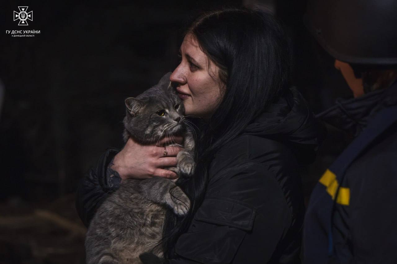 У Краматорську врятували кота, який постраждав через ворожий ракетний обстріл