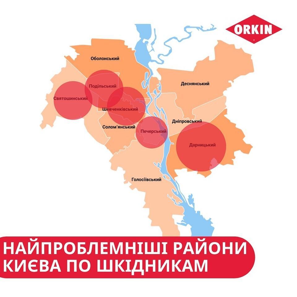 Таргани, клопи й щури: п’ятірка найзабрудненіших шкідниками районів Києва. Карта і подробиці