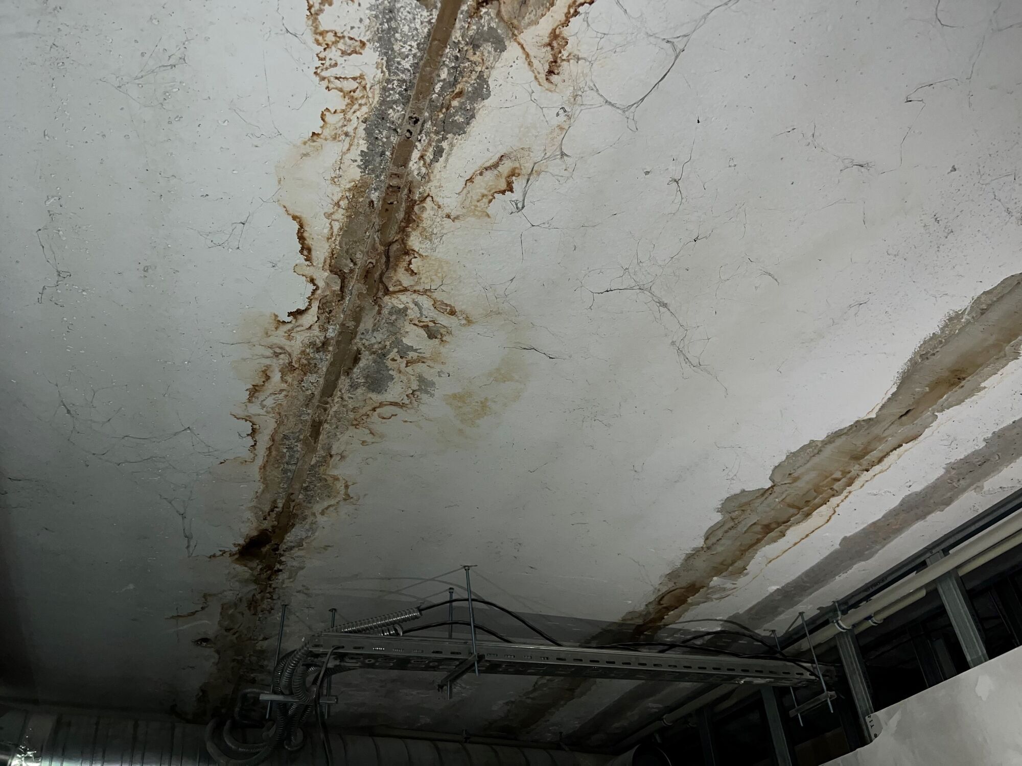 Некачественный ремонт укрытия более чем на 870 тыс. грн: сообщили о подозрении чиновнице РГА в Киеве. Фото