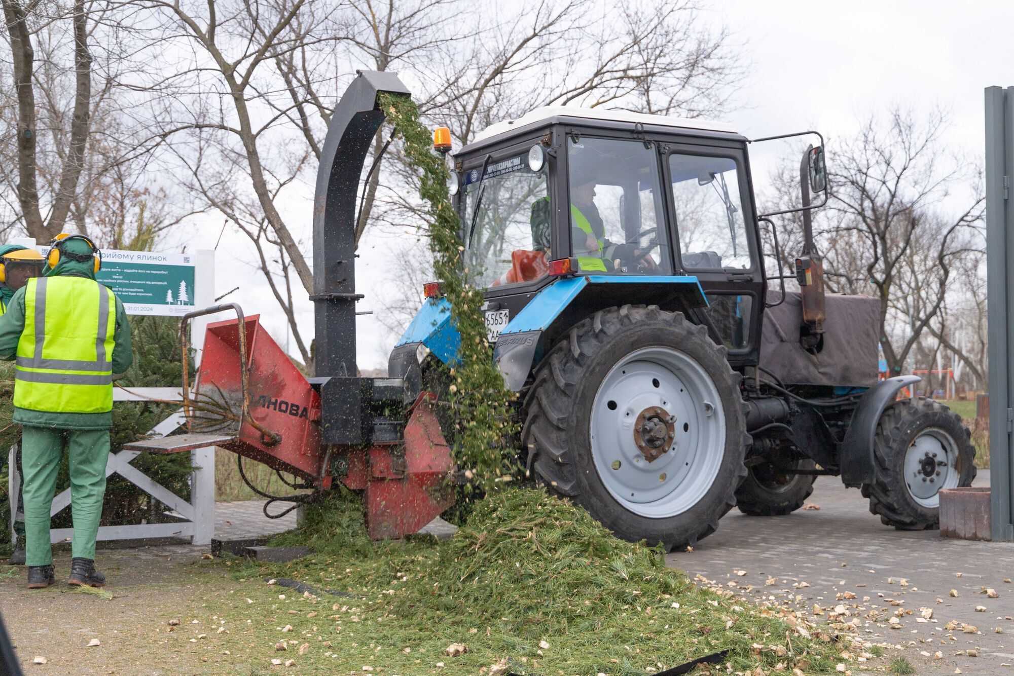 В КГГА рассказали, сколько новогодних деревьев сдали киевляне в пункты утилизации. Фото