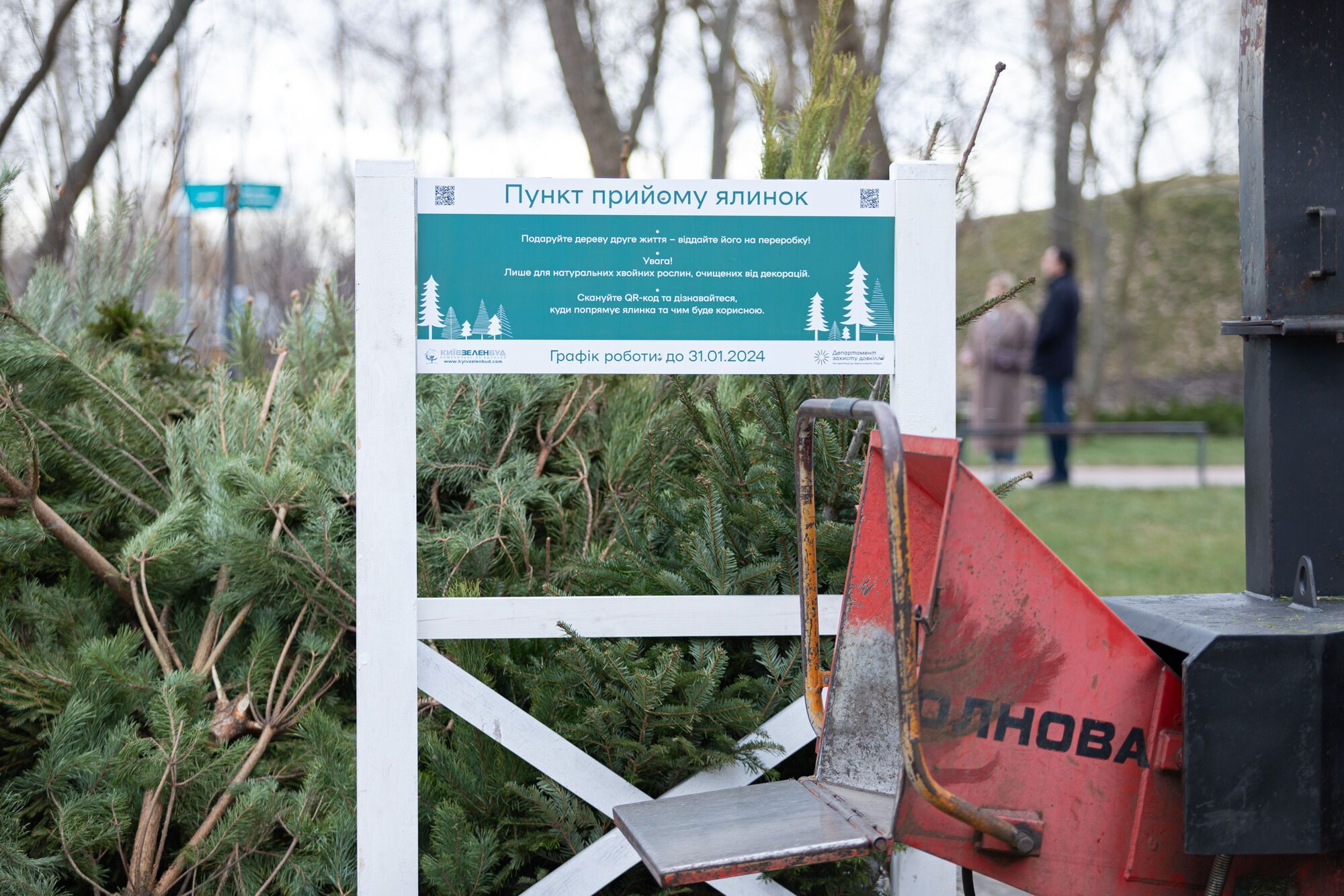 У КМДА розповіли, скільки новорічних дерев здали кияни до пунктів утилізації. Фото