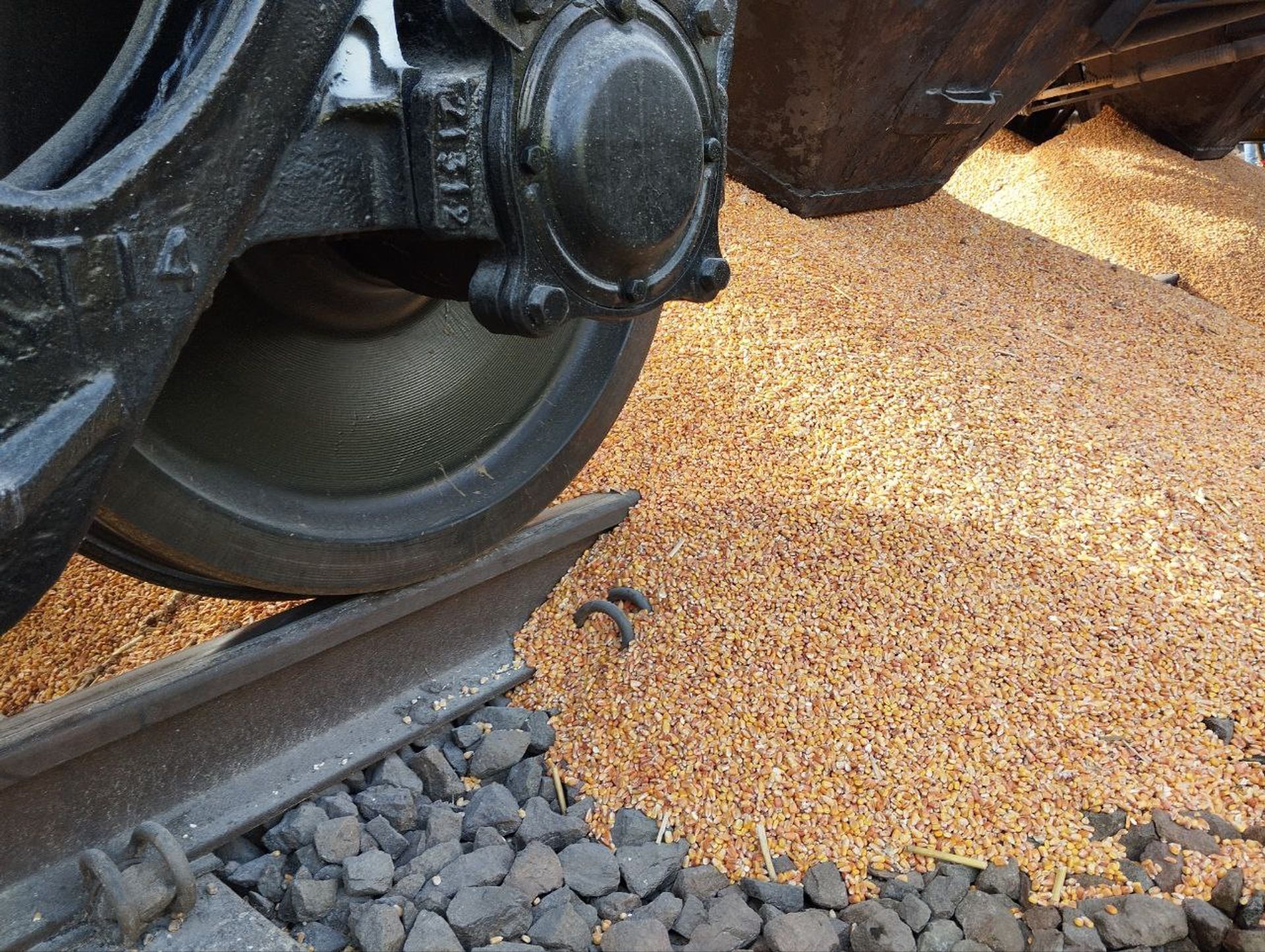 На границе Польши рассыпали зерно из вагона