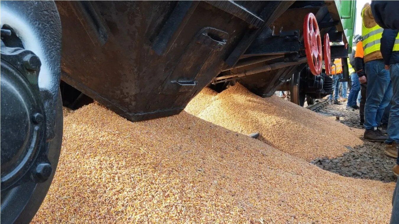 Польские забастовщики высыпали украинское зерно из вагонов