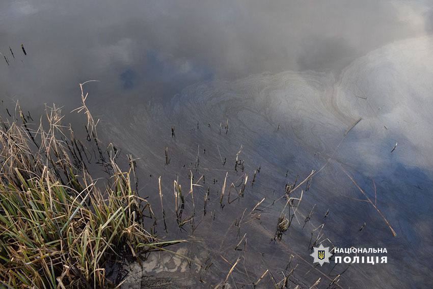 У Києві невідомі злили нафтопродукти в озеро на Оболоні. Фото і подробиці