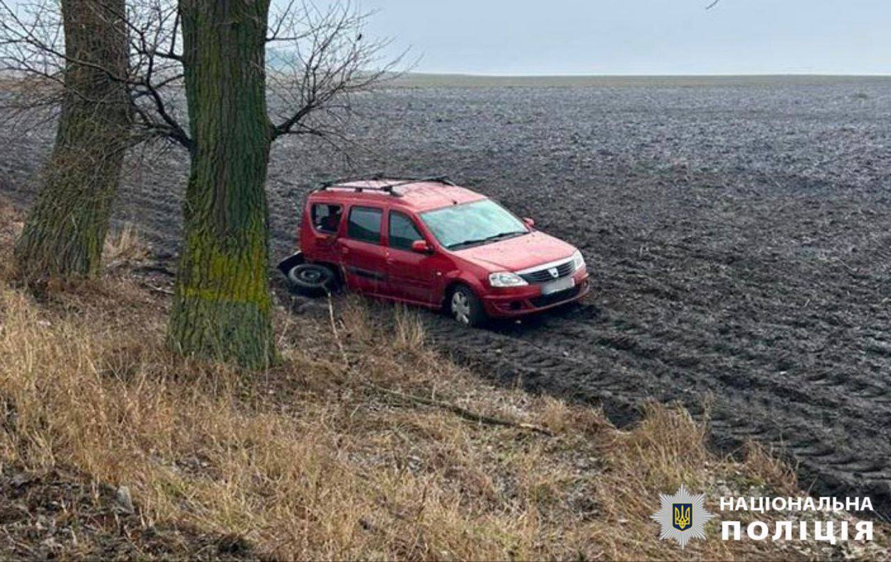 На Киевщине легковушка на скорости съехала в кювет и протаранила дерево: есть пострадавшая. Фото