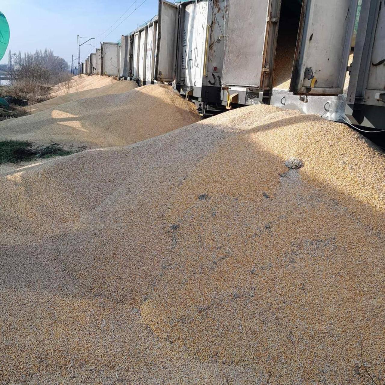 У Польщі утилізують 30 тонн української кукурудзи, яку висипали із товарного потягу