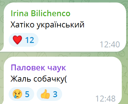 До слез: сеть тронуло видео с псом, вернувшимся на руины дома в Днепре, уничтоженного российским ударом