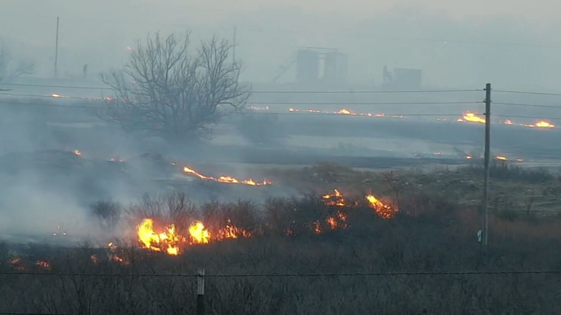 В Техасе бушуют мощные лесные пожары, людей эвакуируют: остановил работу завод по сборке ядерного оружия. Фото и видео